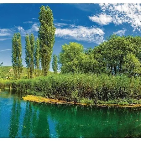 Heart Of Stone فيلة