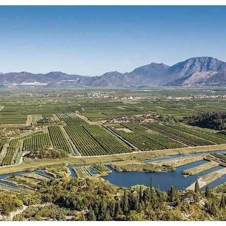 فيلة Heart Of Stone بلوتشي