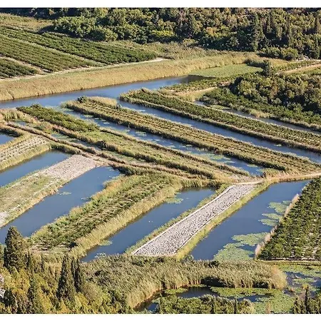 فيلة Heart Of Stone بلوتشي