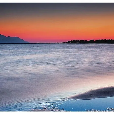 Heart Of Stone فيلة