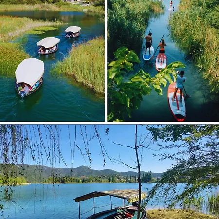 Heart Of Stone فيلة بلوتشي